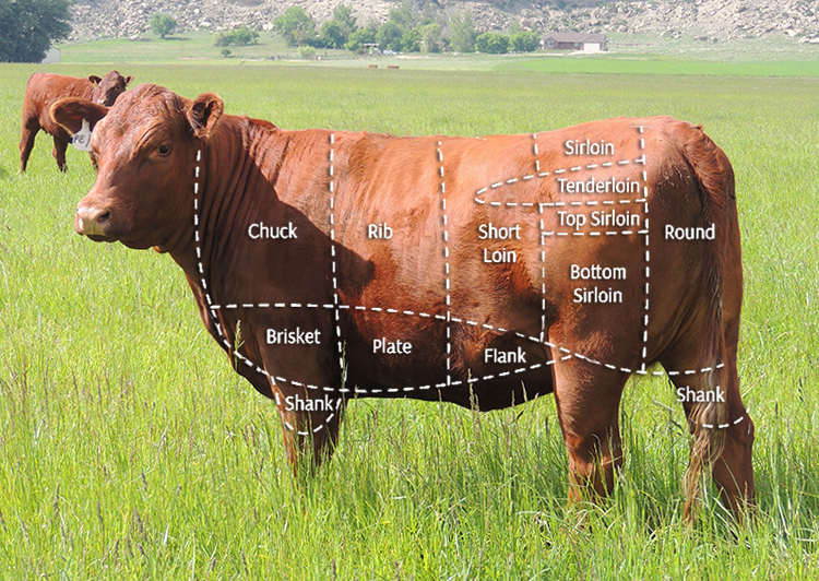 PageLines-beef_chart.png